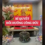 Cách hồi hướng